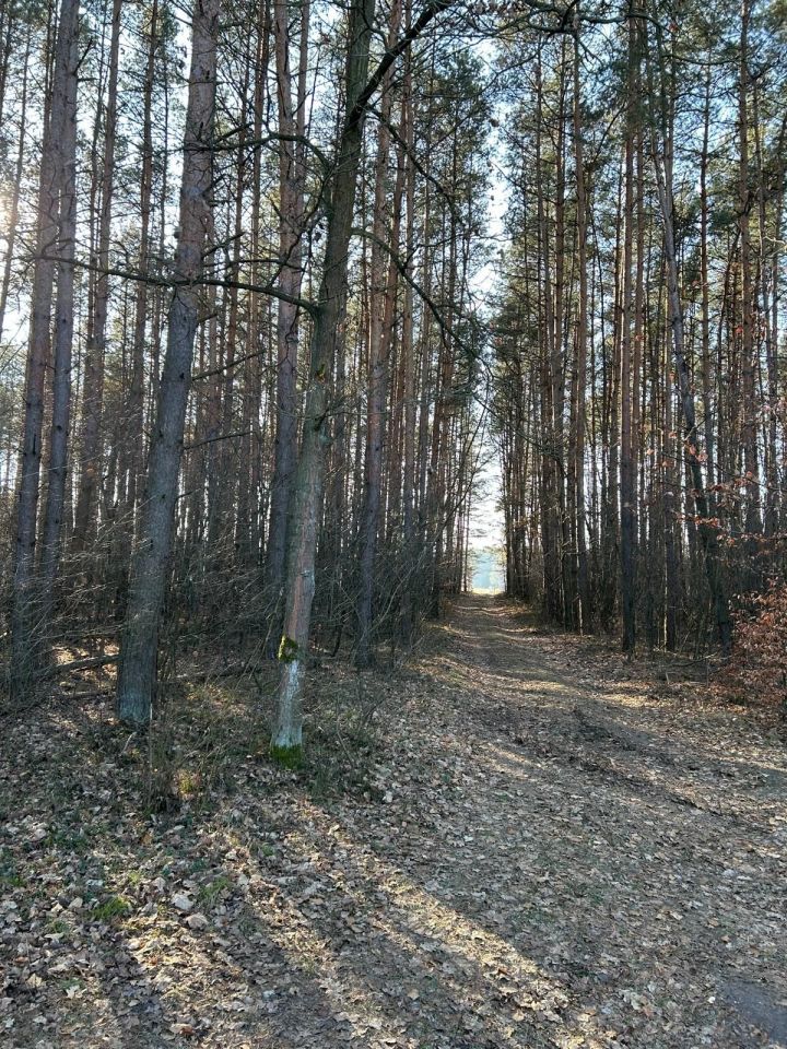 Działka rolna Dąbrówka. Zdjęcie 4