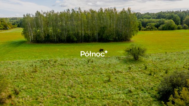 dom wolnostojący, 5 pokoi Białowieża, ul. Kamienne Bagno. Zdjęcie 24