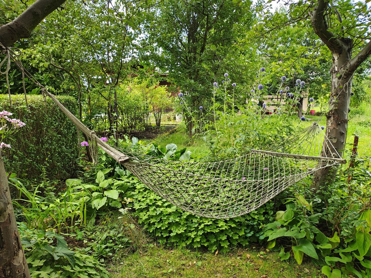 Działka rod Ziemnice, ul. Legnicka. Zdjęcie 8