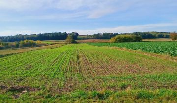 Działka rolna Janików