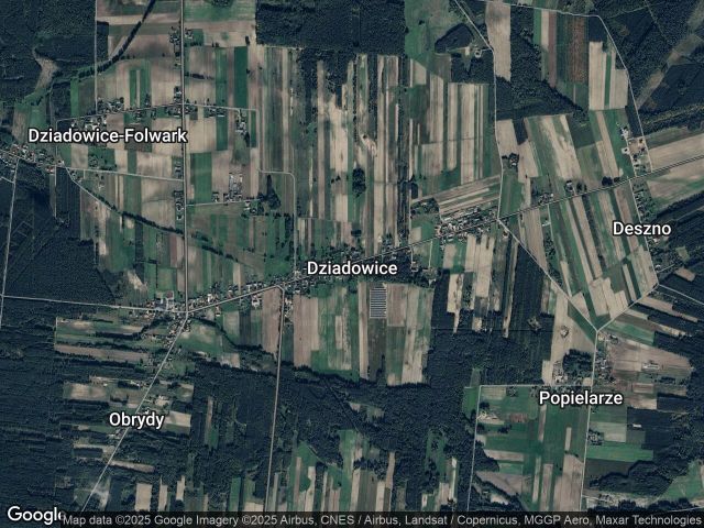 Działka leśna Dziadowice. Zdjęcie 1