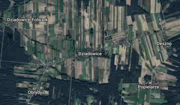 Działka leśna Dziadowice
