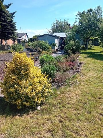 Działka rekreacyjna Piła, ul. Wypoczynkowa. Zdjęcie 1