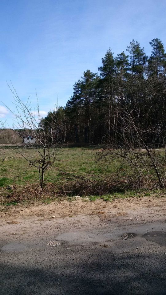 Działka rolno-budowlana Marszewo. Zdjęcie 4