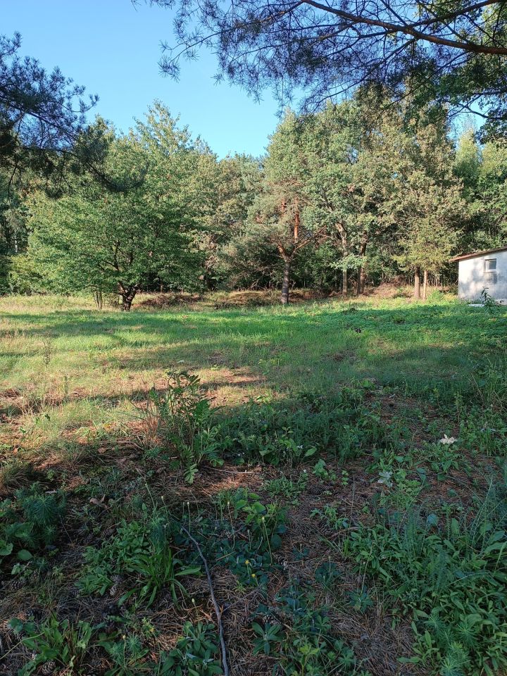 Działka budowlana Pęgów, ul. Południowa. Zdjęcie 6