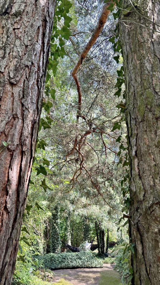Działka budowlana Radom Śródmieście, ul. Małopolska. Zdjęcie 7