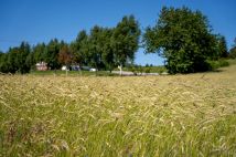 Działka rolno-budowlana Garcz, ul. Widokowa. Zdjęcie 4