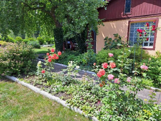 Działka rod Zabrze Biskupice, ul. Wojciecha Drzymały. Zdjęcie 1