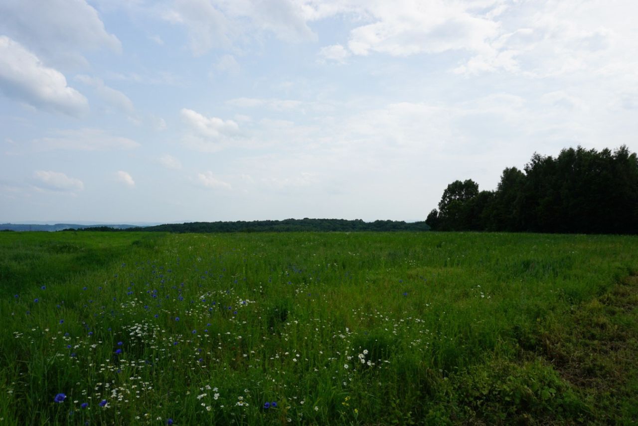 Działka budowlana Przybówka. Zdjęcie 6