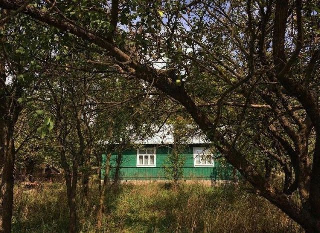 Działka rolno-budowlana Rogóźno-Kolonia. Zdjęcie 1