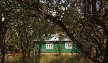 Działka rolno-budowlana Rogóźno-Kolonia, Rogóźno-Kolonia