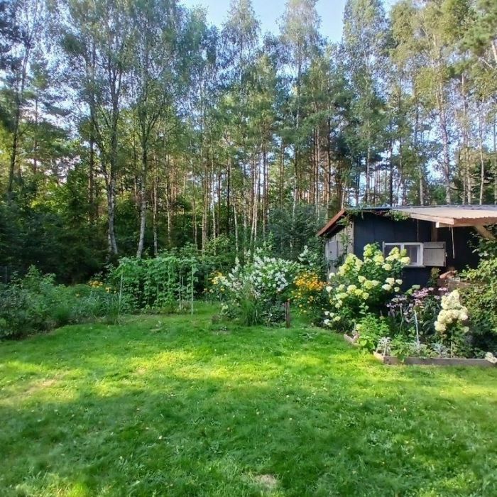 Działka rekreacyjna Lewinko. Zdjęcie 3