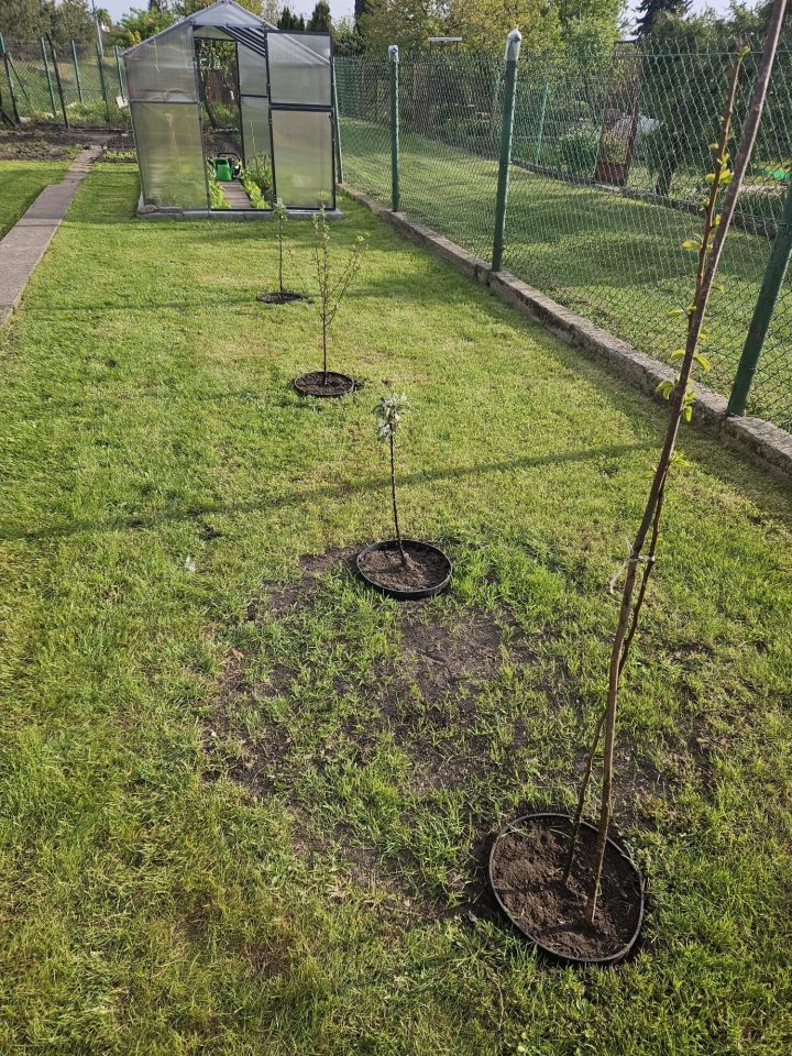 Działka rod Łuków, ul. Bolesława Prusa. Zdjęcie 7