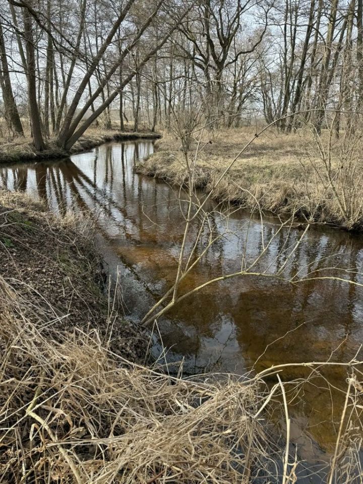 Działka rekreacyjna Świerzno. Zdjęcie 4