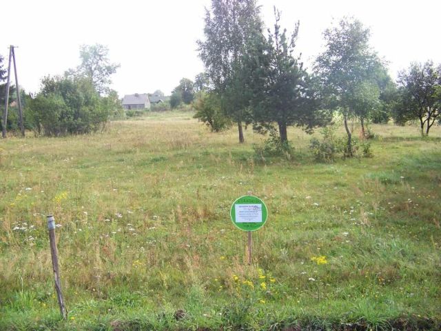 Działka rolno-budowlana Wylazłowo. Zdjęcie 1