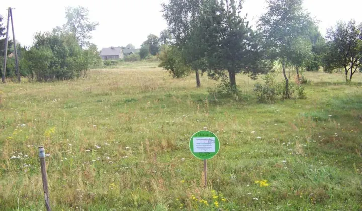 Działka rolno-budowlana Wylazłowo