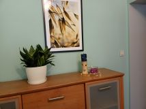 Mieszkanie 1-pokojowe Łódź Śródmieście, ul. Prezydenta Gabriela Narutowicza. Zdjęcie 2