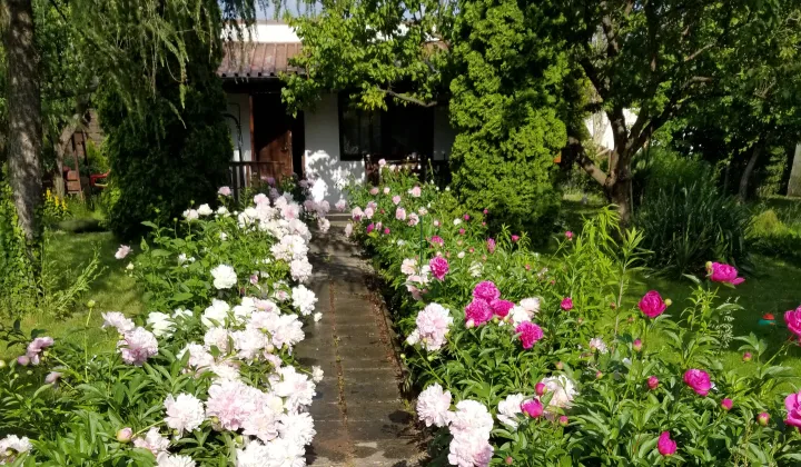 Działka rod Warszawa Ochota, ul. Wirażowa