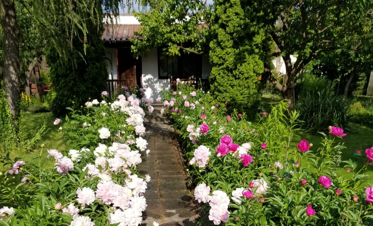 Działka rod Warszawa Ochota, ul. Wirażowa