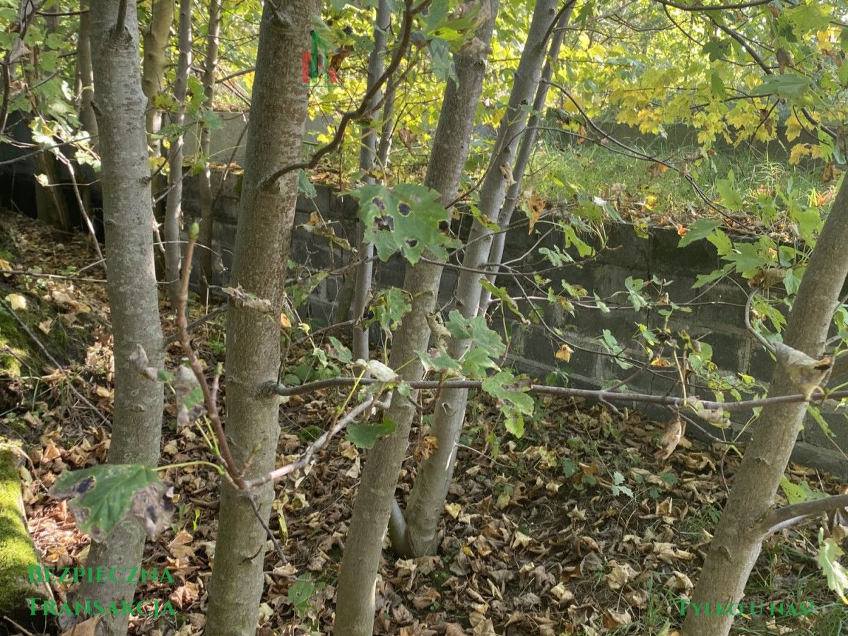 Działka budowlana Krąg. Zdjęcie 7