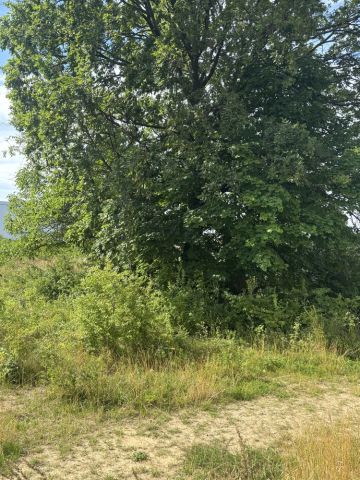 Działka budowlana Kraśnicza Wola. Zdjęcie 1