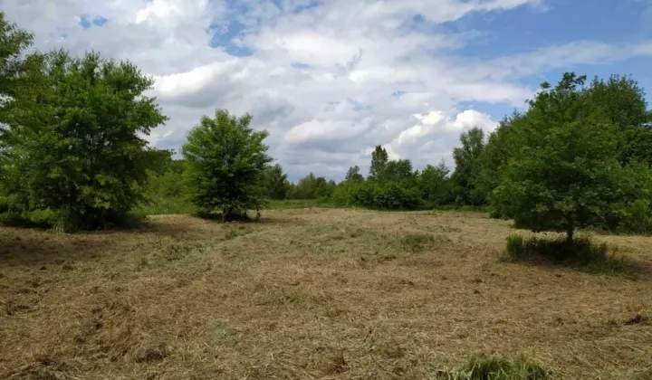 Działka budowlana Wola Ociecka