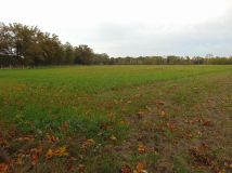 Działka inwestycyjna Zielona Góra, ul. Zielonogórska. Zdjęcie 3