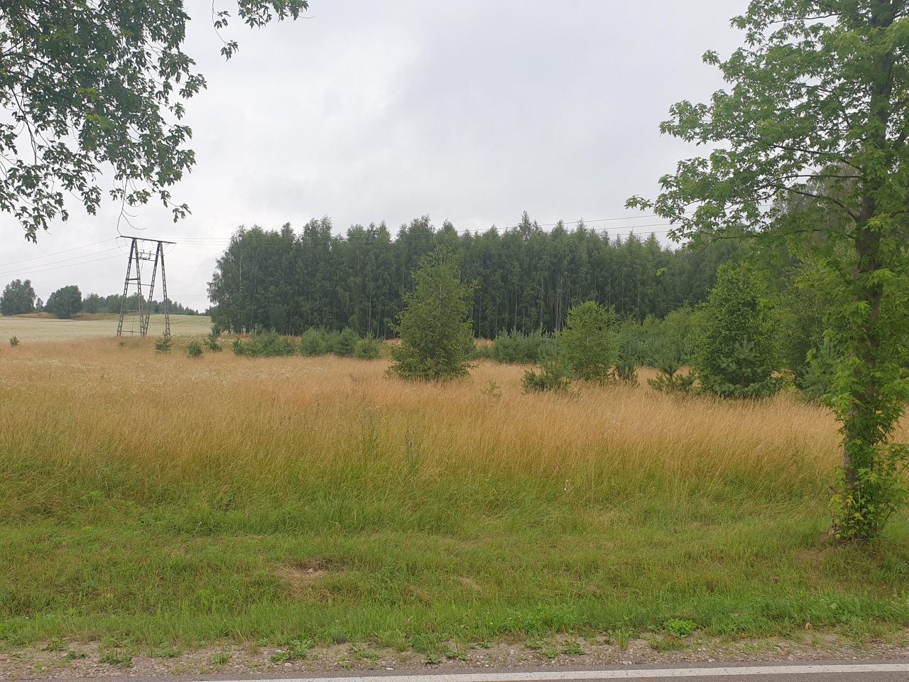 Działka budowlana Niestoja. Zdjęcie 11