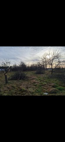 Działka rolno-budowlana Elżbiecin Wygoda Kozińska. Zdjęcie 1