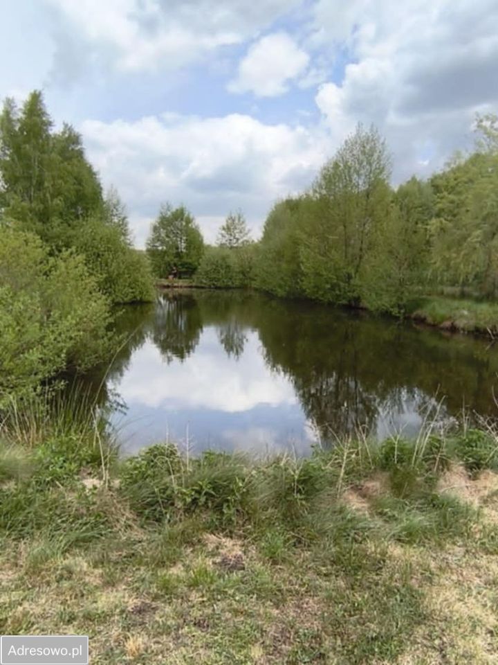 Działka rolno-budowlana Zalesiczki. Zdjęcie 9