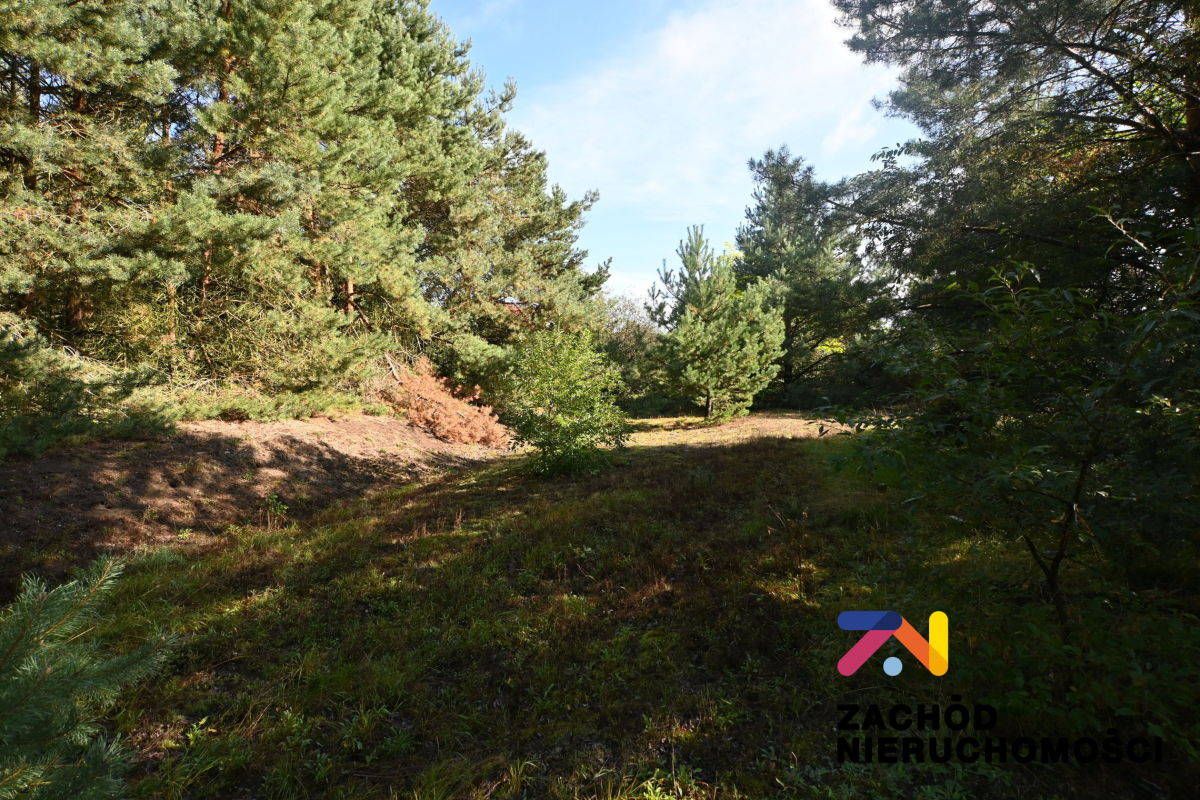 Działka budowlana Radomia. Zdjęcie 2