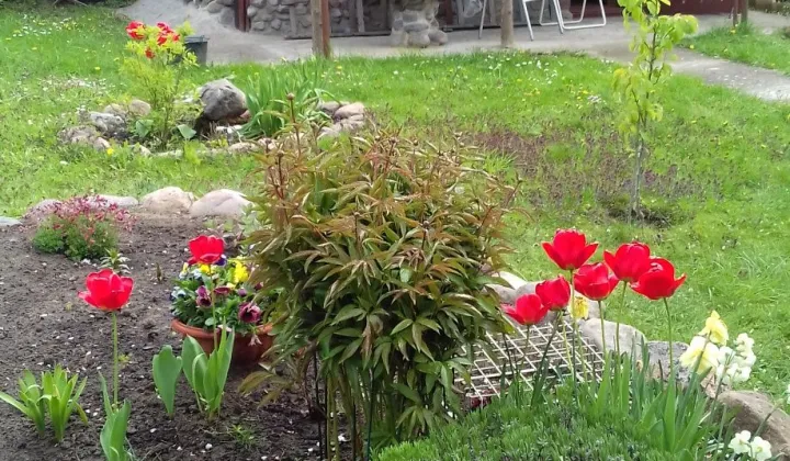 Działka rod Grudziądz