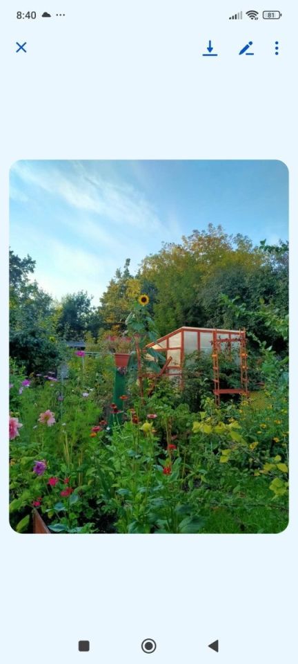 Działka rod Radom, ul. Godowska. Zdjęcie 5