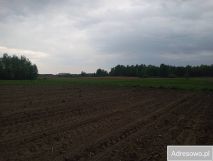 Działka siedliskowa Orzechów-Kolonia. Zdjęcie 4
