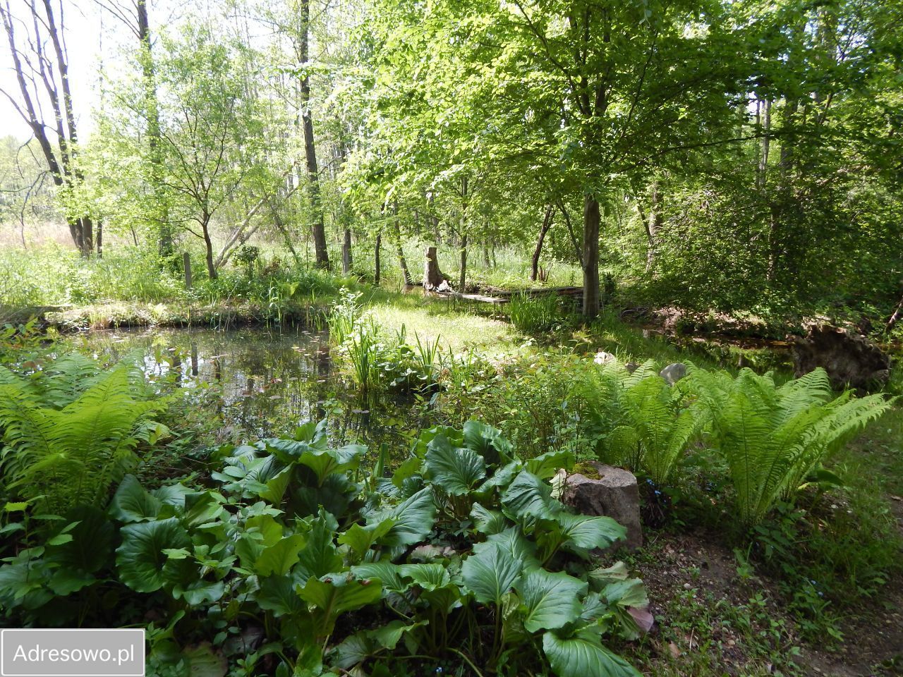 dom wolnostojący, 5 pokoi Płociczno, ul. Żurawia. Zdjęcie 18