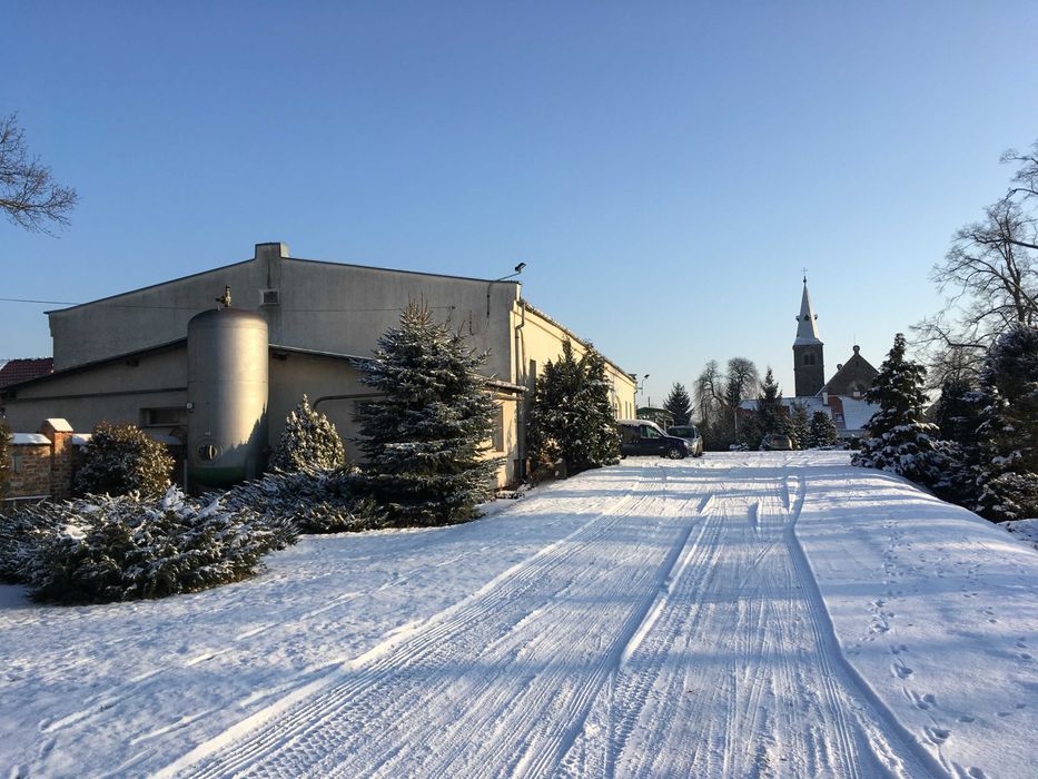 Działka inwestycyjna Trzebiechów. Zdjęcie 3