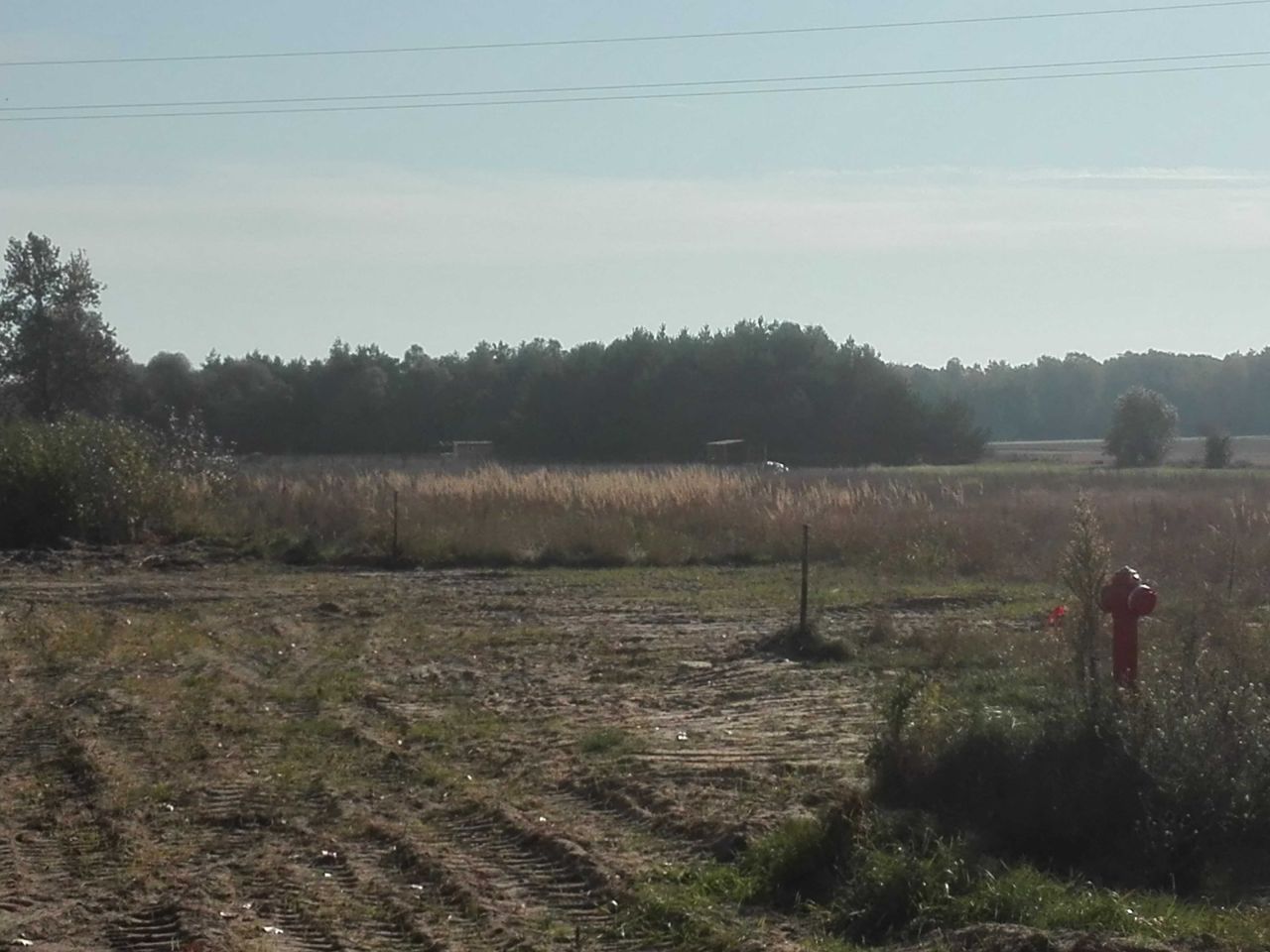 Działka budowlana Dąbrowica-Kolonia. Zdjęcie 7