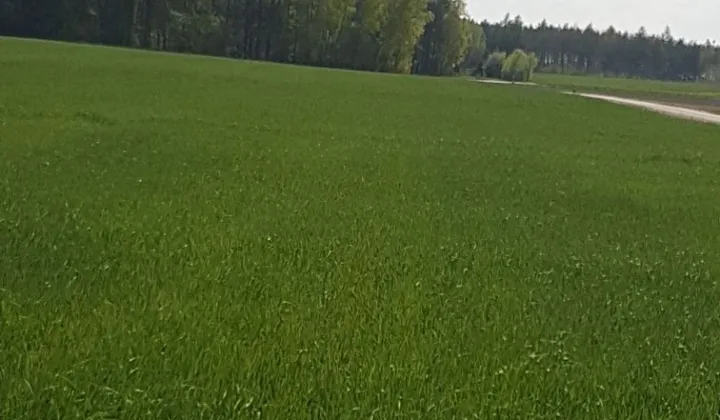 Działka budowlana Pęszyno