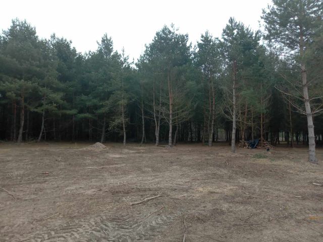 Działka budowlana Bronisławów, ul. Główna. Zdjęcie 1