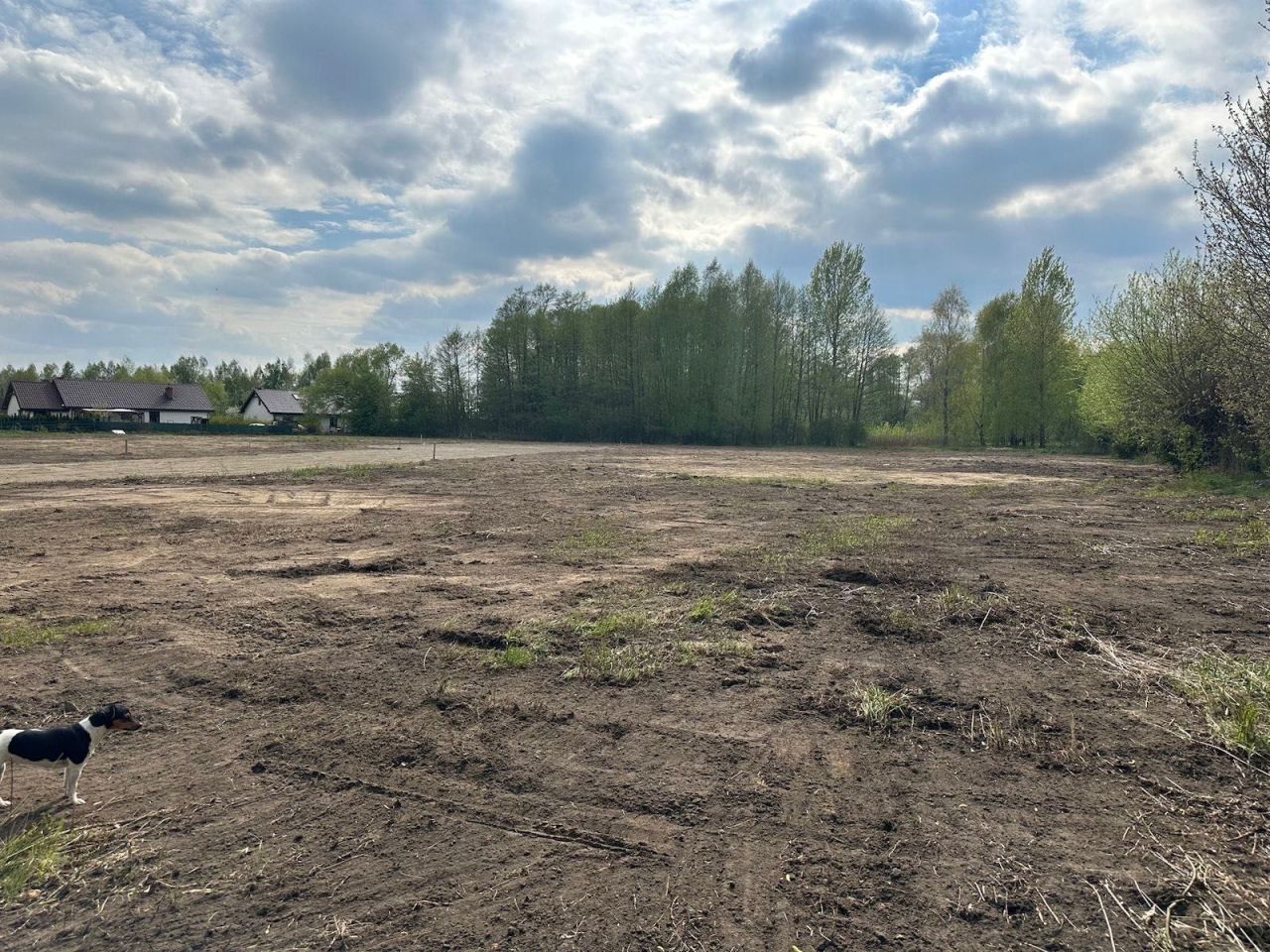 Działka budowlana Mierzynek. Zdjęcie 7
