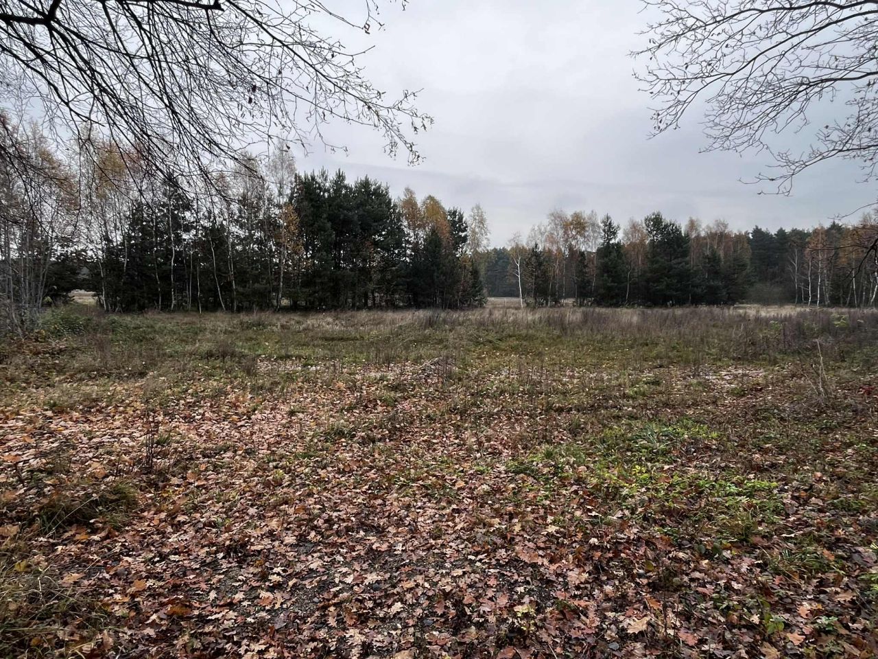 Działka rolno-budowlana Dąbrowiec. Zdjęcie 9