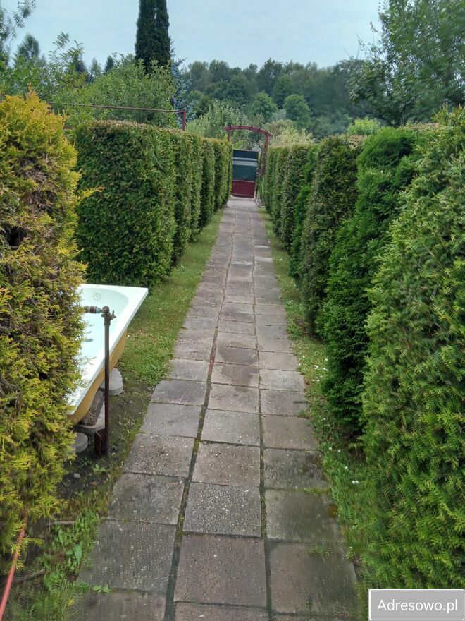 Działka rod Bytom. Zdjęcie 8