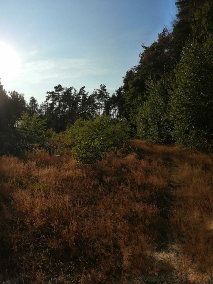 Działka rekreacyjna Gutarzewo. Zdjęcie 4