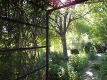 Działka rod Siemianowice Śląskie, ul. Katowicka. Zdjęcie 2