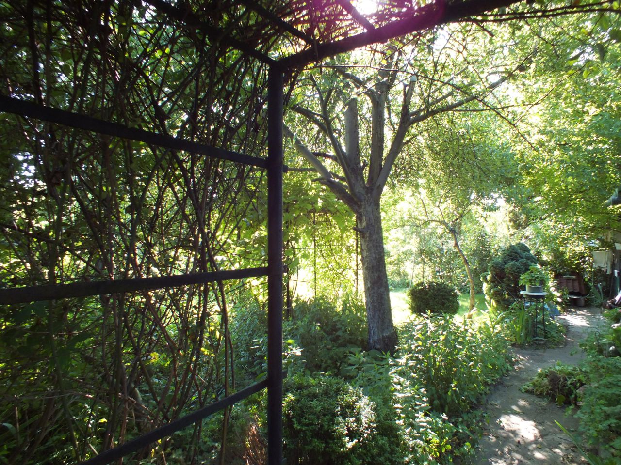 Działka rod Siemianowice Śląskie, ul. Katowicka. Zdjęcie 3