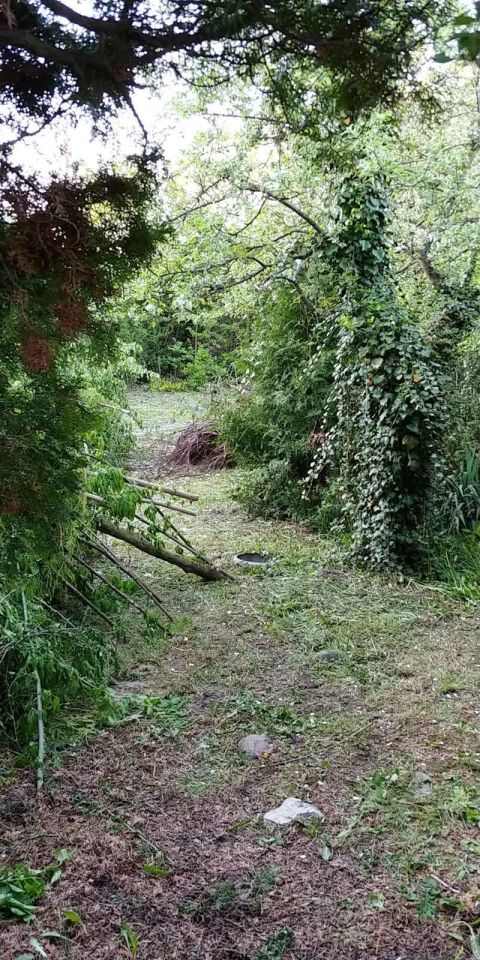 Działka rod Zamość. Zdjęcie 5