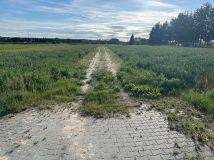 Działka budowlana Bielsk Podlaski, ul. Kleszczelowska. Zdjęcie 4