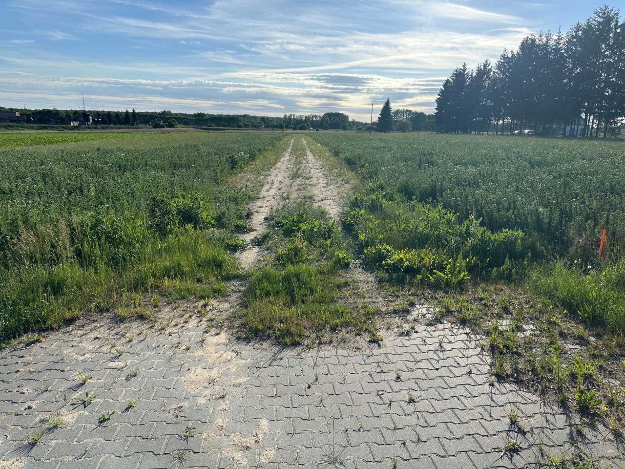 Działka budowlana Bielsk Podlaski, ul. Kleszczelowska. Zdjęcie 5