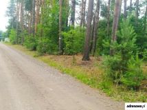 Działka rolna Wola Starogrodzka. Zdjęcie 4