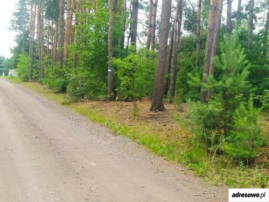 Działka rolna Wola Starogrodzka. Zdjęcie 5
